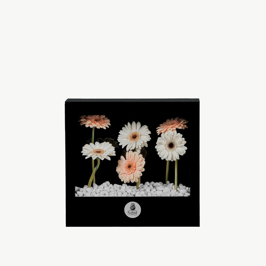 Tulip Whisper Vase